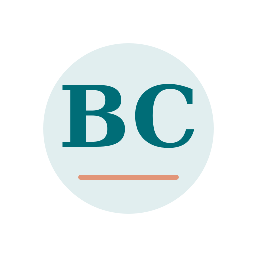 Beda Chimney Services logo